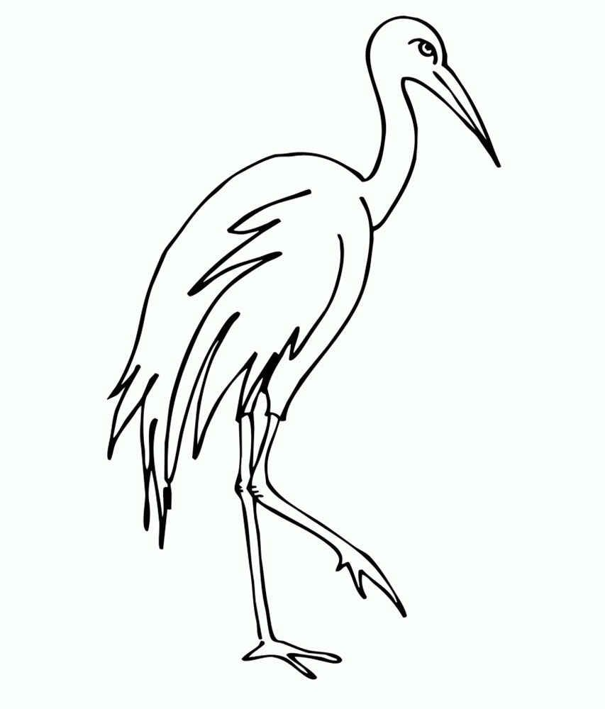 Раскраски: перелетные птицы для детей