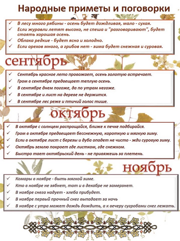 Календарь природы Осень