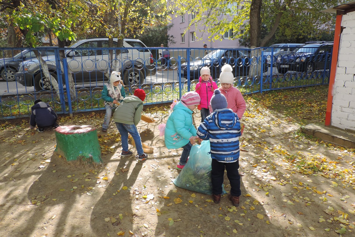 Золотая осень в ноябре: прогулка Золотая осень в ноябре: прогулка