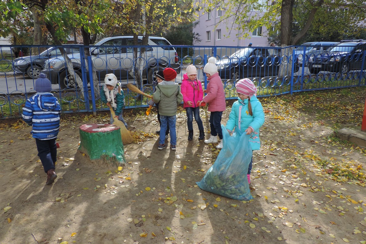 Золотая осень в ноябре: прогулка Золотая осень в ноябре: прогулка