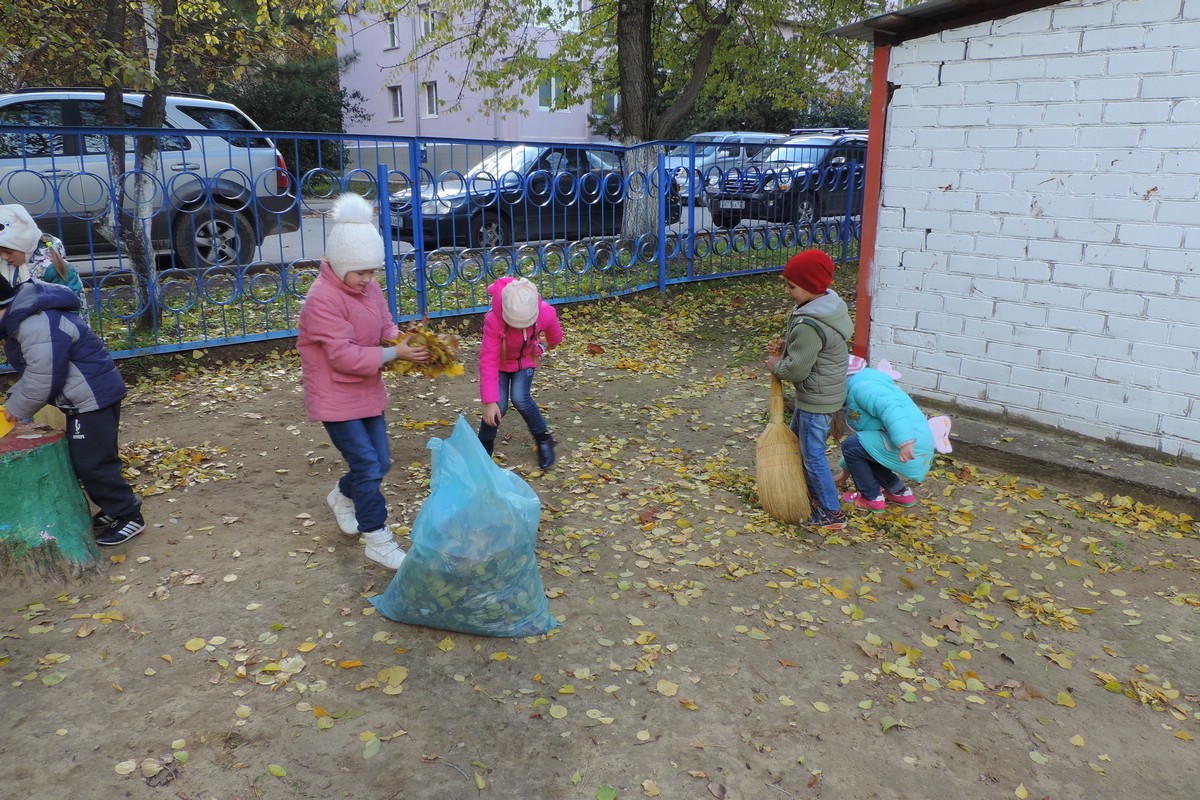 Прогулка ноябрь старшая