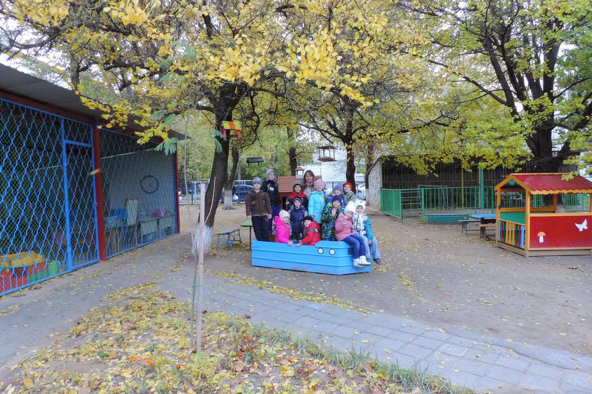 Золотая осень в ноябре: прогулка Золотая осень в ноябре: прогулка