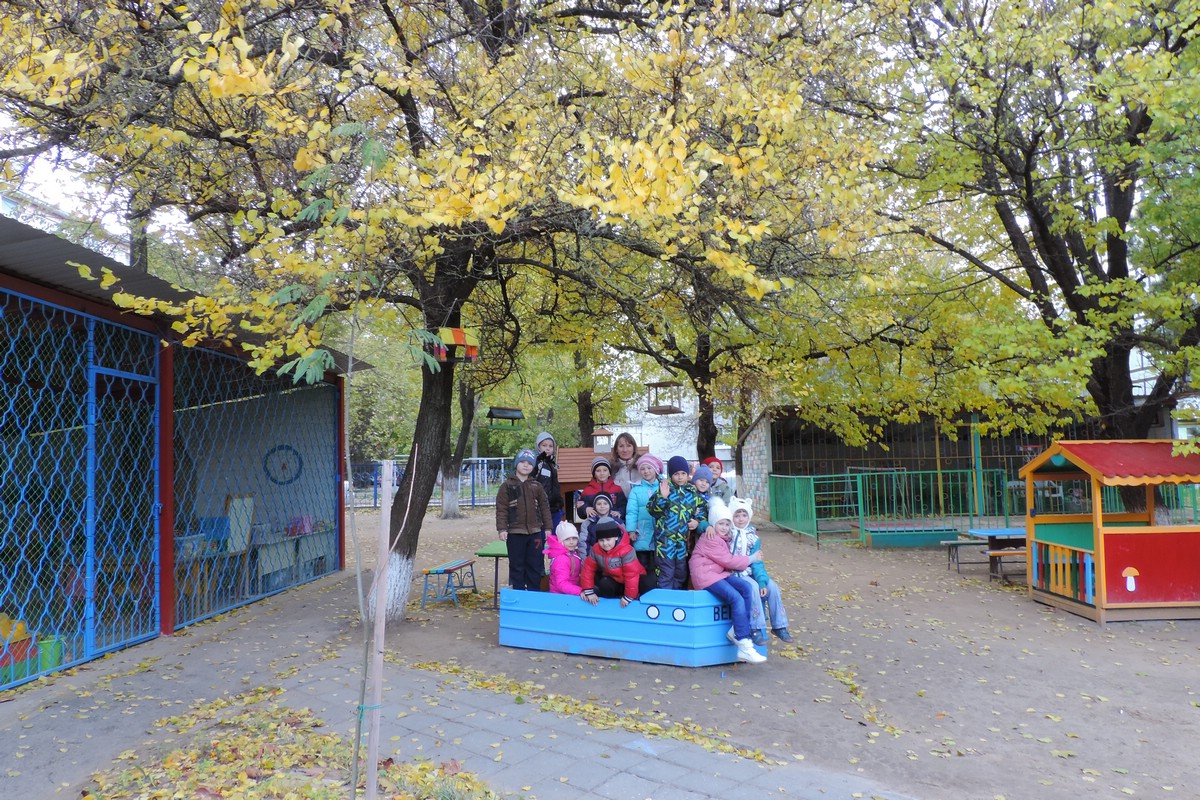 Золотая осень в ноябре: прогулка Золотая осень в ноябре: прогулка