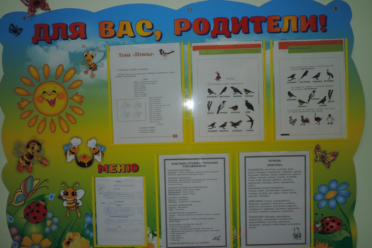 Познавательное развитие «Перелетные и водоплавающие птицы», подготовительная к школе группа