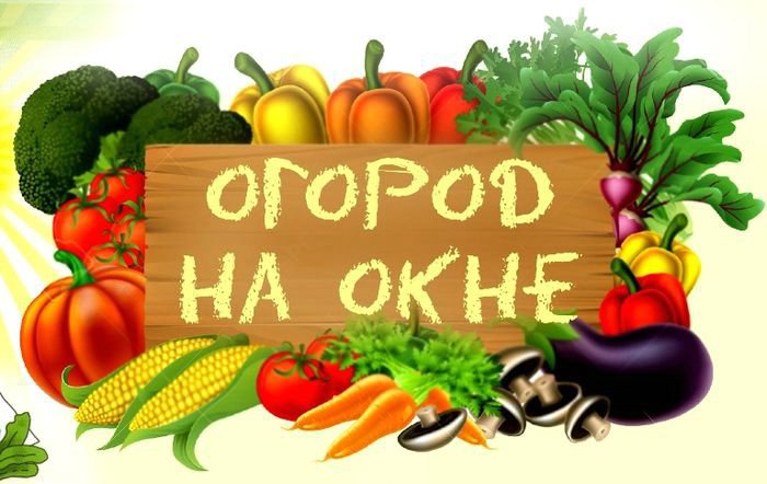 Огород на окошке