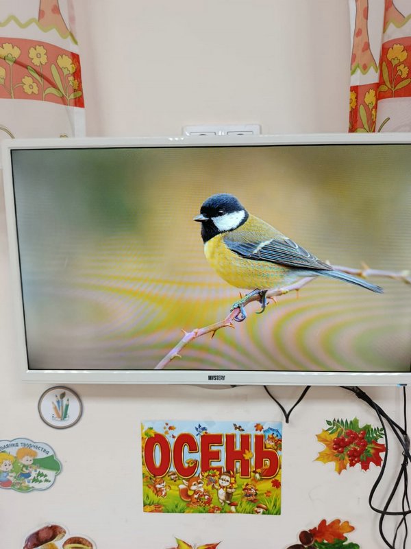 Синичкин день